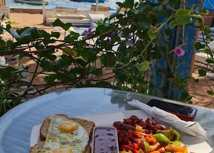 Hotel El Primo 3*