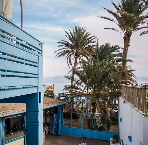 El Primo Hotel 3*
